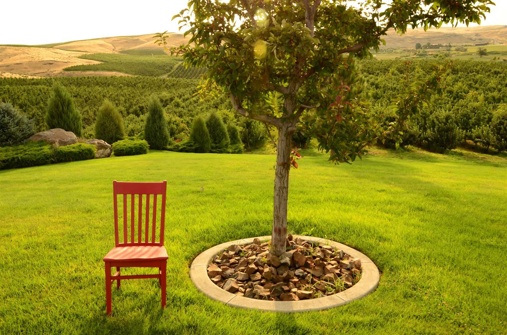 Red chair sitting on a well-manicured lawn next to a planted tree with a stonework ring a ways away from the current trunk; forested area and mountainous hills in the background