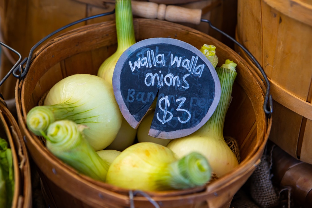 The famed Walla Walla onions on display at the Walla Walla Farmers Market